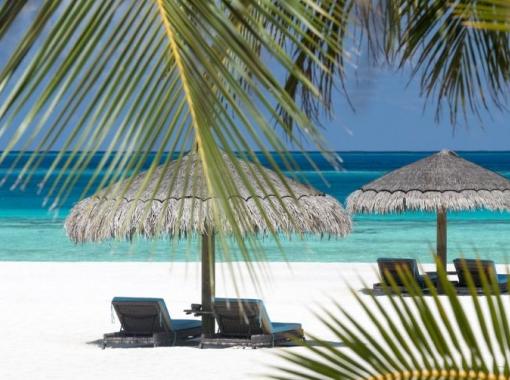 Promotions Stohler Tours
