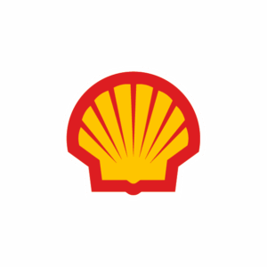 shell pecten rgb colour