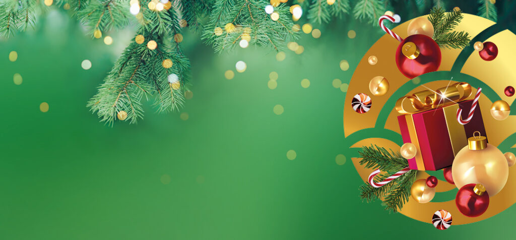 signy 2025 noel visuel neutre 1080x502 prod