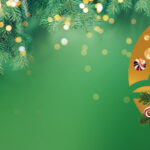 signy 2025 noel visuel neutre 1080x502 prod