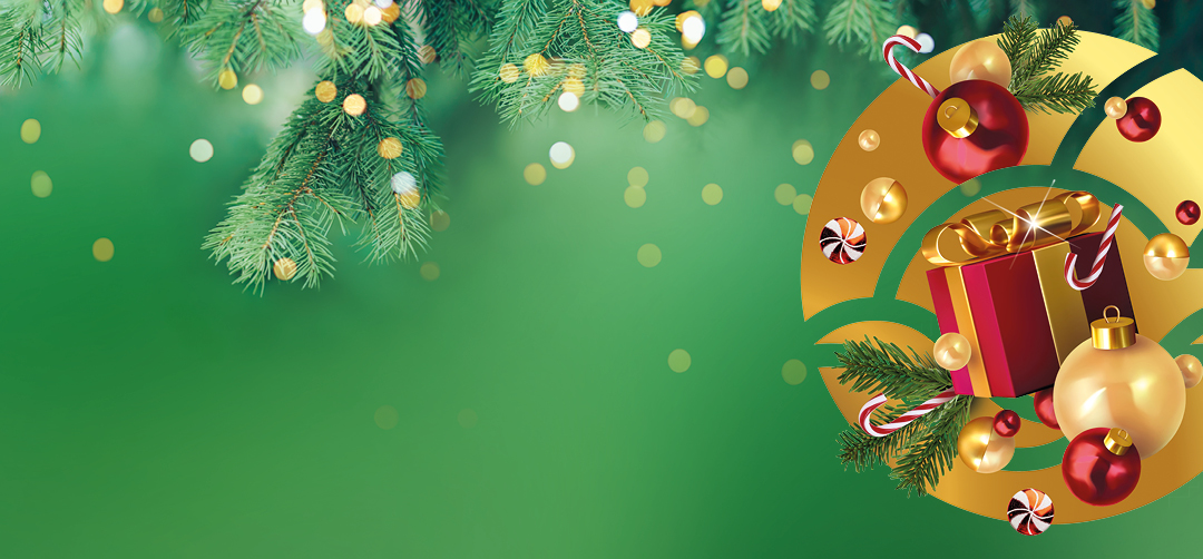 signy 2025 noel visuel neutre 1080x502 prod