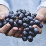 signy centre vignerons nyon 02